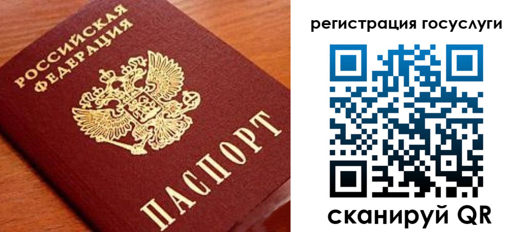 прописка иностранных граждан в Амурской области